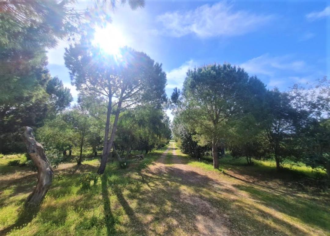 Il Lentischio Del Sinis Villa Putzu Idu Exterior photo